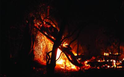 Pantanal entra em alerta de risco alto e extremo de incêndios